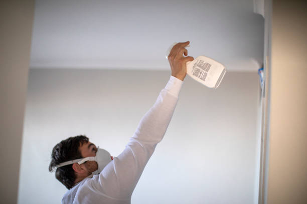 Best Attic Mold Remediation in Auburn, WA