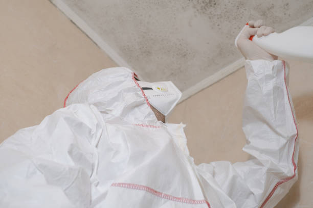 Trusted Auburn, WA Mold Remediation Experts